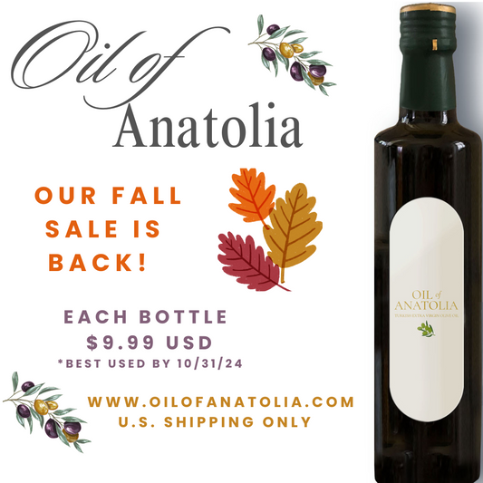 Our Fall Sale is Here - Stock up Now!